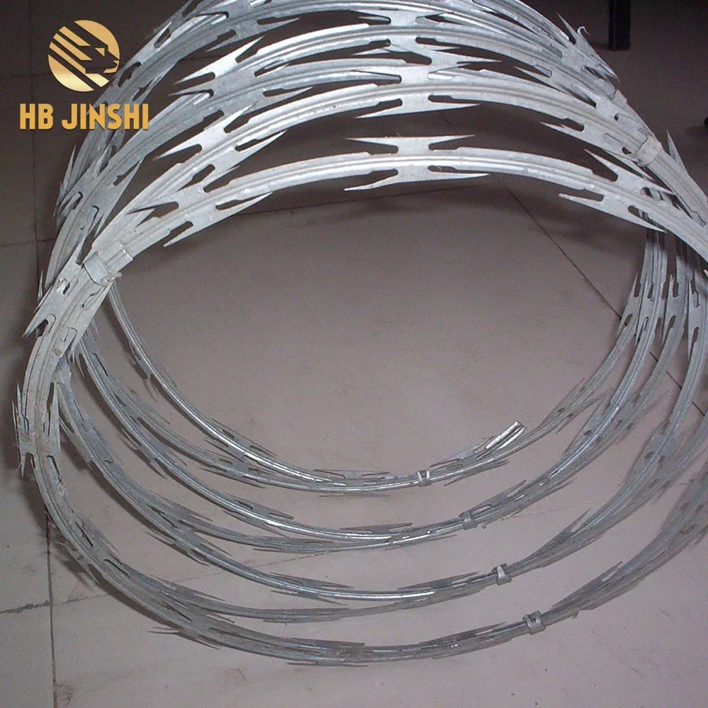 Cbt-65 Razor Wire Razor Ribbon Barbed Wire 18" 1 Coil 50 Feet Per Roll ...