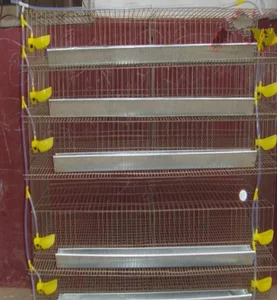 Commercial Quail Cages Commercial Quail Cages Suppliers And