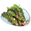 2019 New arrival micro greens seeds, fresh aralia elata seeds