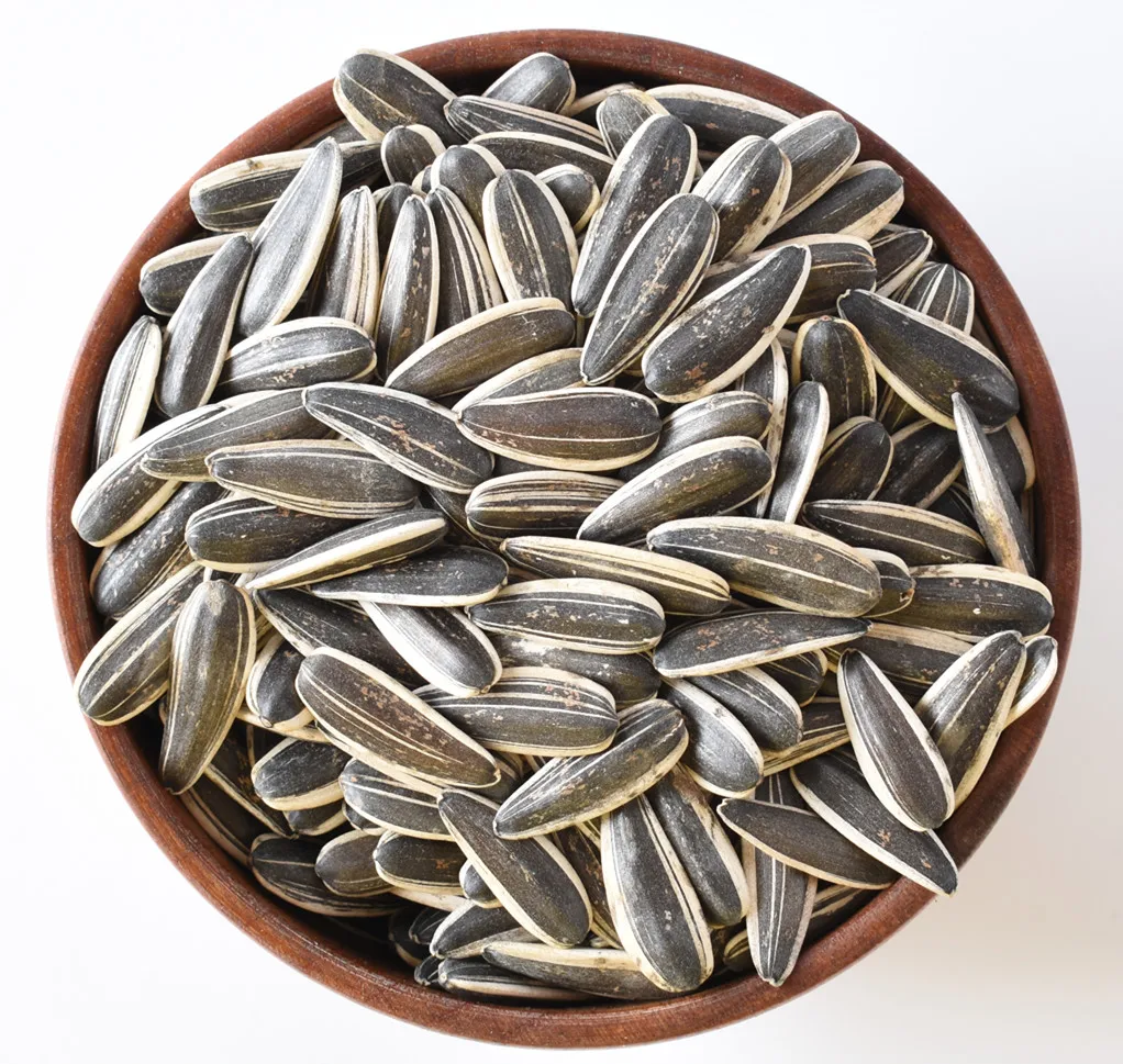 Bulk Sunflower Seeds In Uae Factory Buy Sunflower Seeds In Uae