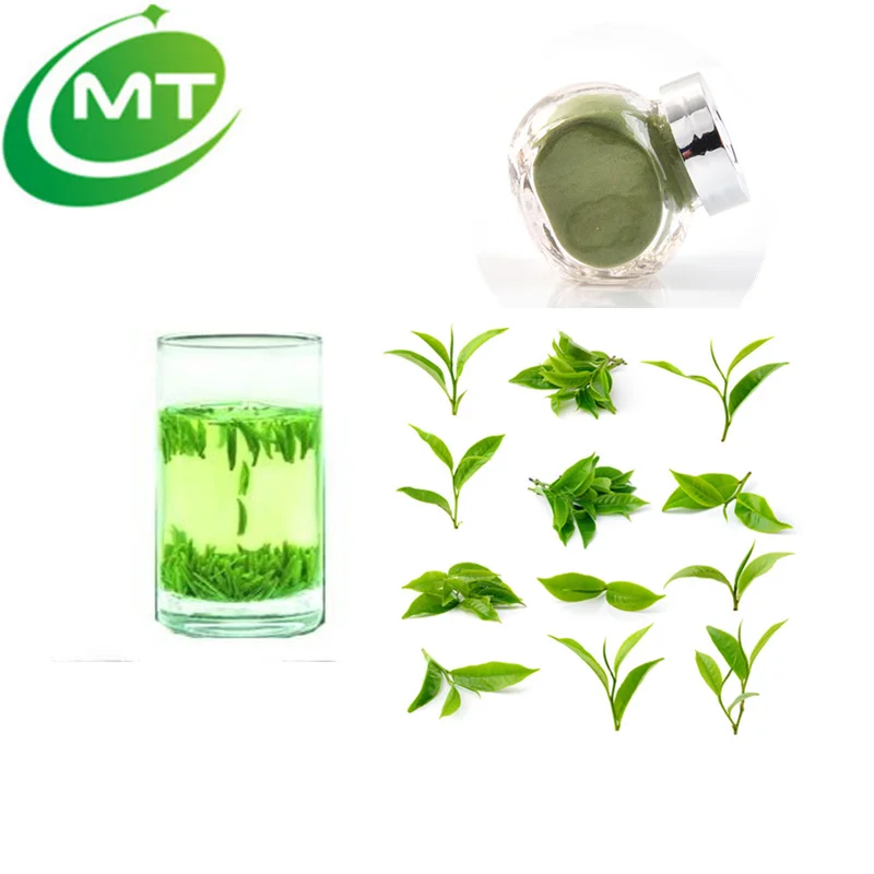 Green Tea Ltheanine Extract/ 20 30 Natural Green Tea Powder Buy