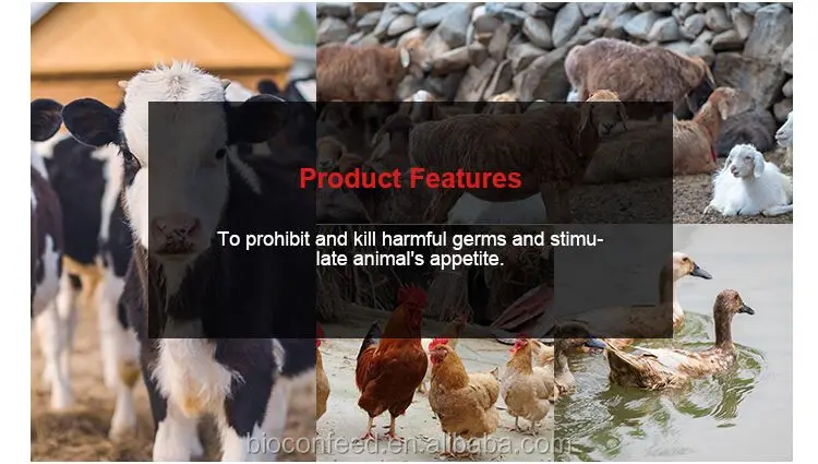 allicin powder F