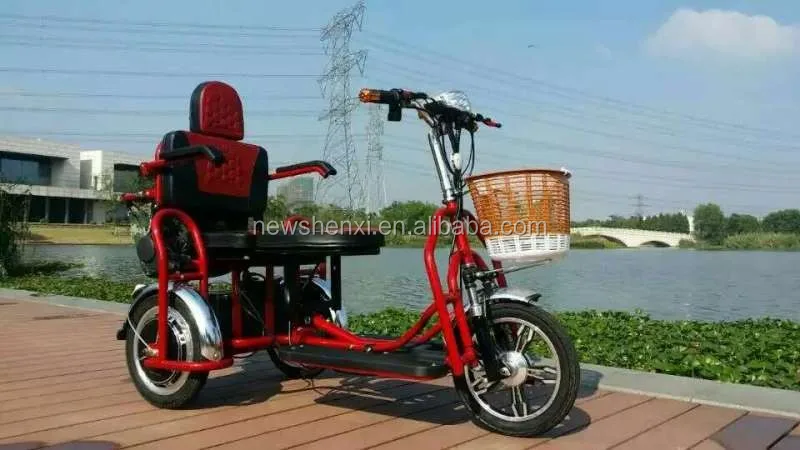 handicapped electric tricycle