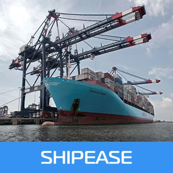 Furniture Tile Logistics From Foshan Fujian Guangzhou Ningbo To