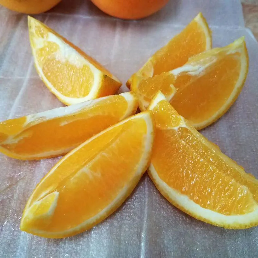 orange3.jpg