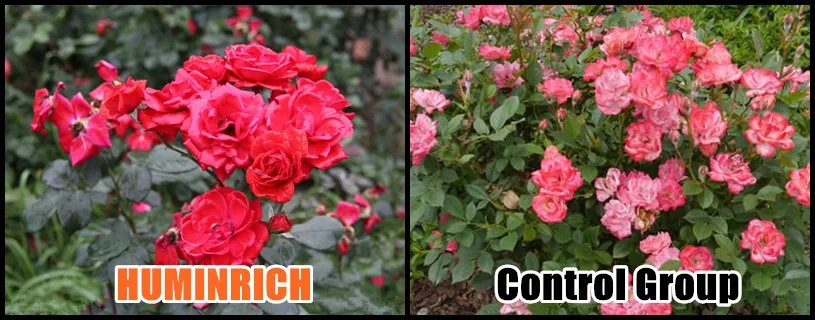 Copper Foliar Fertilizer.jpg