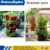 Stackable Tower Garden Hydroponics Pot For Sale - Buy ...
