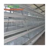 Can be customized to sample indian poultry farm for chicken layer cage