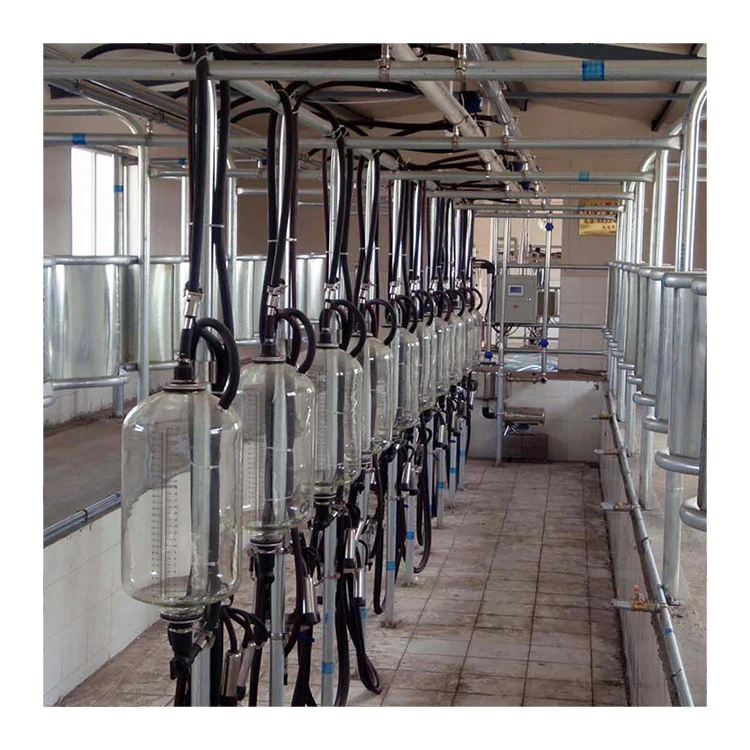 Dairy Farm 4KW Herringbone Milking Parlor With Food Grade Glass