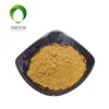 Plant Extract Hops Flower Extract Powder 10% Flavonoids Humulus Lupulus Flower 10:1 Extract Powder
