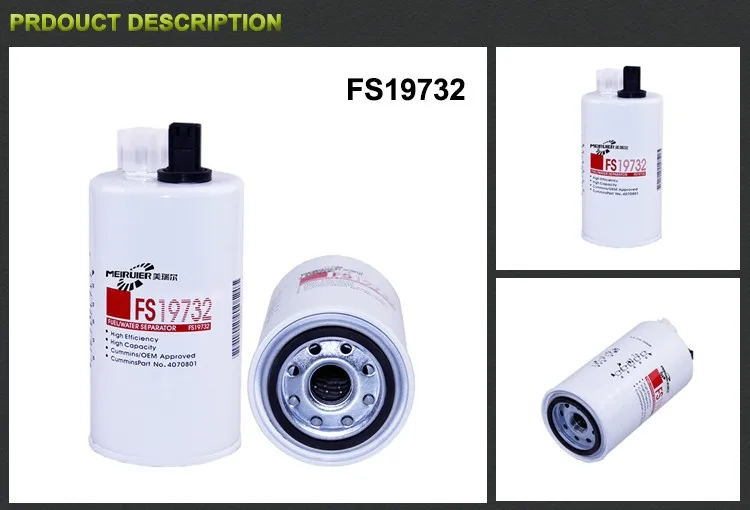 FS19732