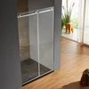 Cheap Frameless Roller Sliding Shower Door