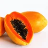 Mu Gua Zhong Zi New Arrival Taiwan Red Lady Papaya Fruit Seeds Red F1 Hybrid for sale