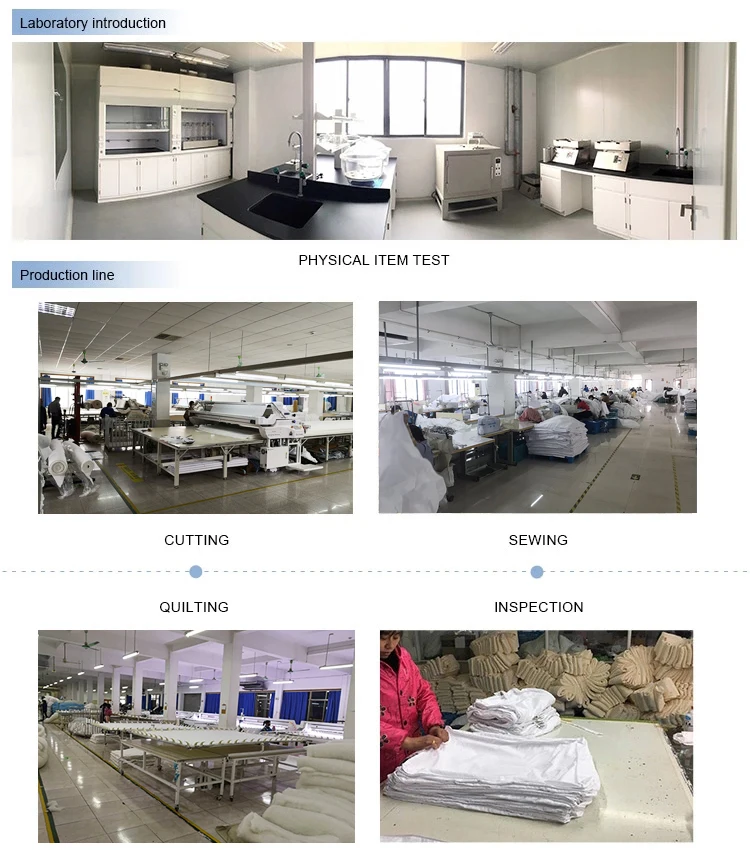 Company