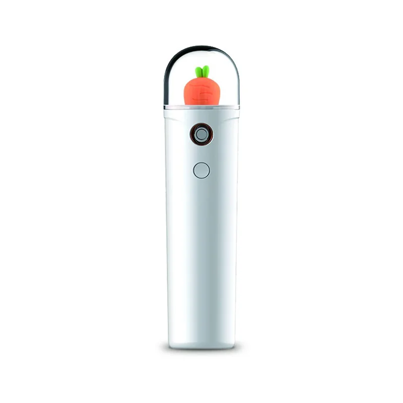 Beauty Equipment Portable Cute Nano Mister Beauty Care - ANKUX.COM