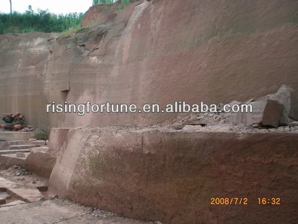 brown wood vein sandstone5.JPG