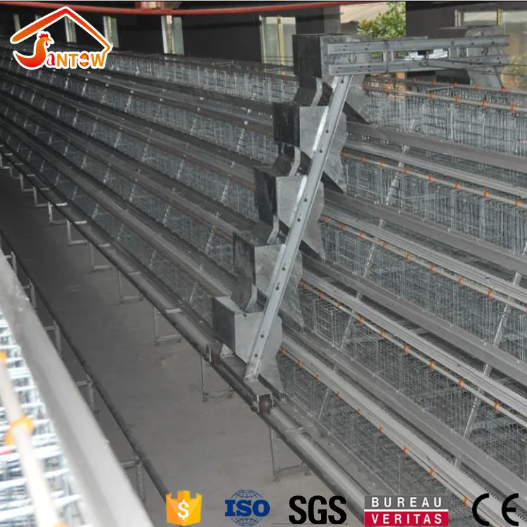 alta corral granja de jaulas de pollo automático para gallinas
