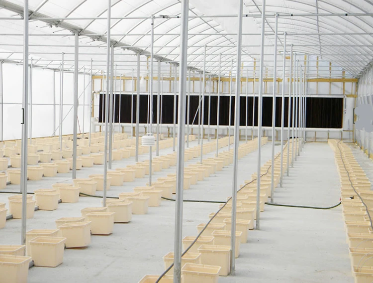 1"1/2 " Drain Pipe Dutch Buckets Irrigation System For Growing