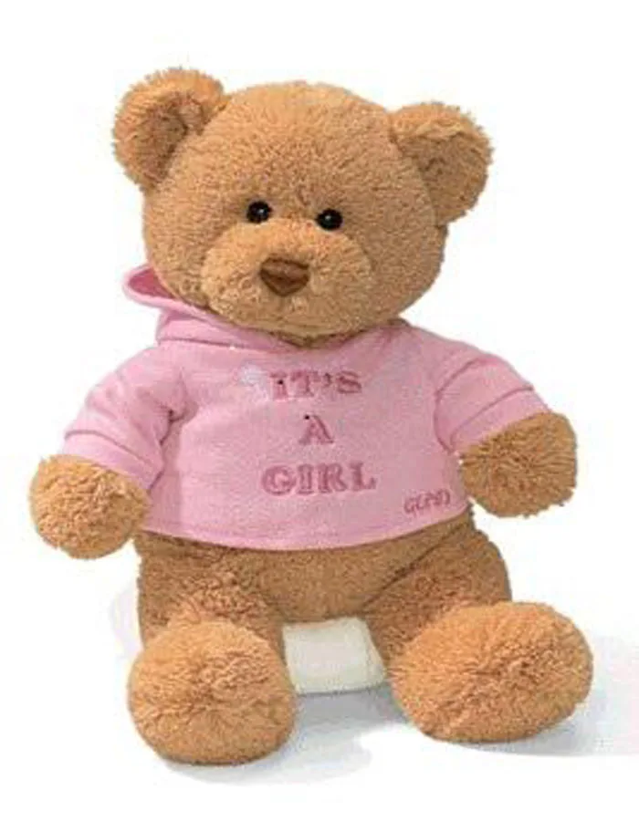 its a girl teddy bear