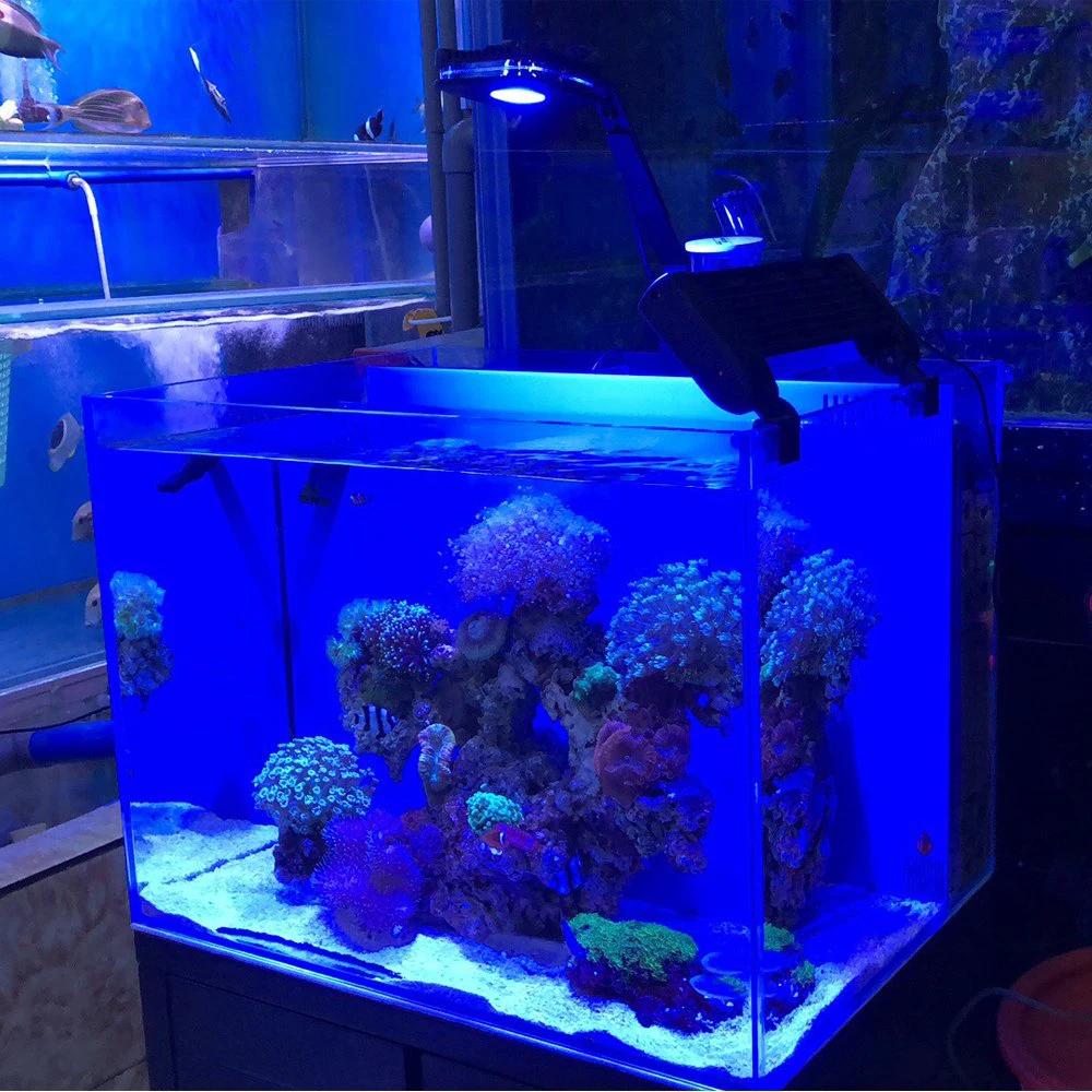 Aquasanrise Full Spectrum Marineリーフタンクledライトサンゴが成長白ブルー水族館の水槽sps Lps色成長ミニナノ Buy Ledライトサンゴが成長白ブルー水族館の水槽 タッチ調光可能な水槽 海水サンゴリーフ魚tankslighting Product On Alibaba Com