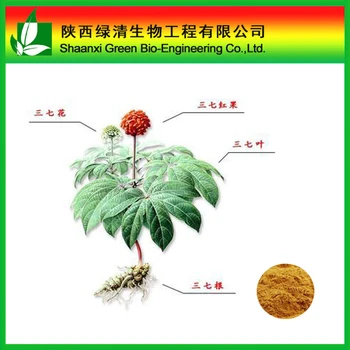 sanchi extract radix notoginseng extract panax sanchi extract radix notoginseng extract panax