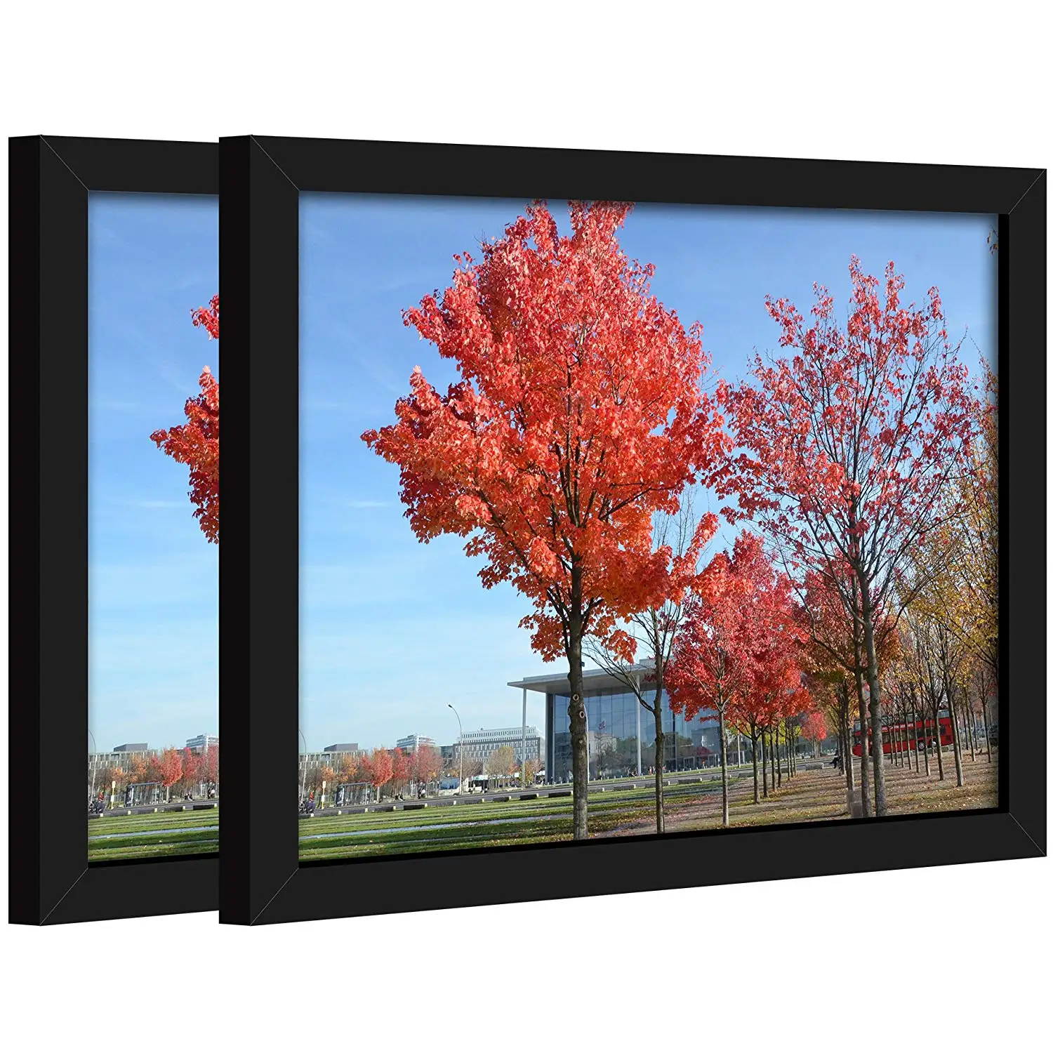 Buy Document Frame 8 5x11 Inch Standard Paper Frame Without Mat To