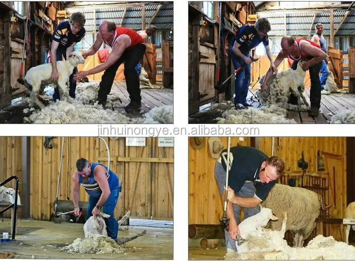 Sheep wool cutting machine shearing tools price of flexible electric sheep shear