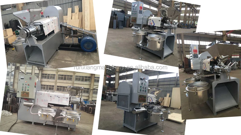 algae oil press machine