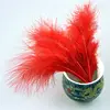 Dyed Pattern Marabou Turkey Feathers Wonderful Dress Hat Decorations