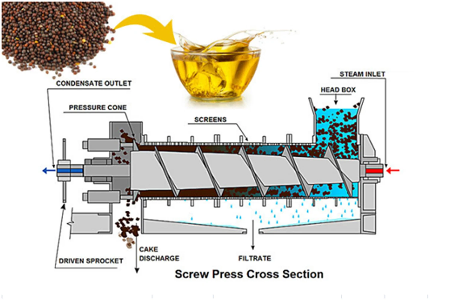 Coconut Oil Expeller Processing Machine Machinery Prices