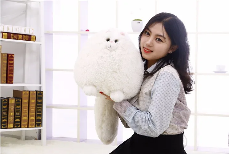 Free Shipping 30cm Korea Cute Fat Persian Cat Plush Toy Persian Cat