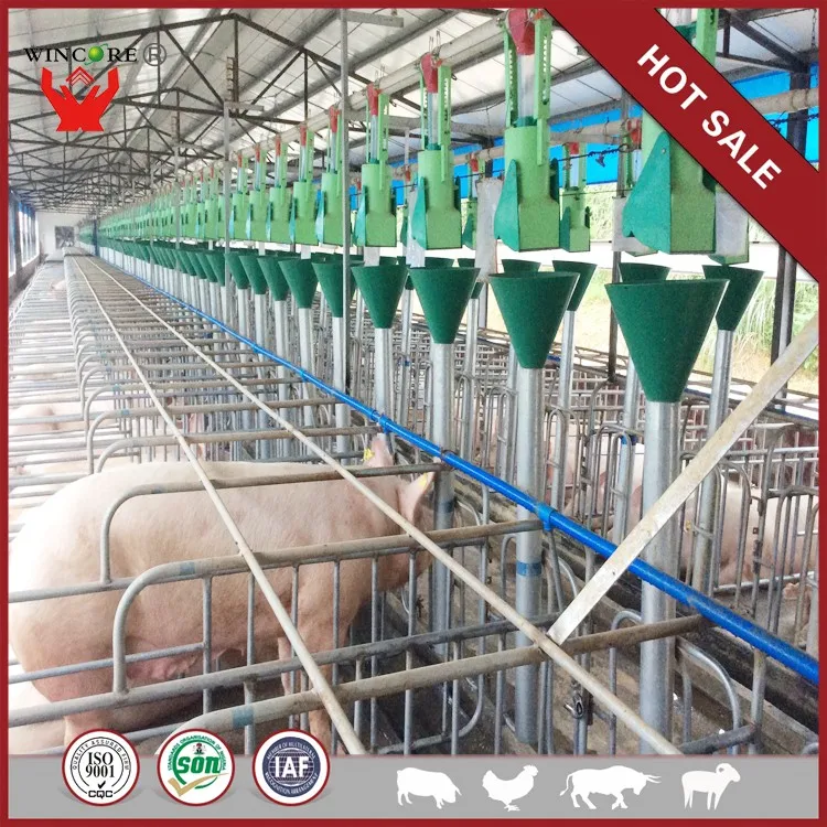 Pig Farming Feeding Equipment Livestock Equipment - Buy Pig Feeding ...