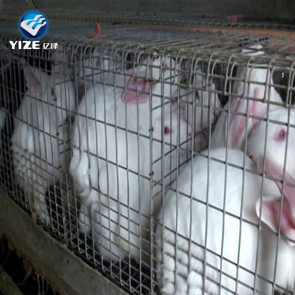 rabbit transport cage