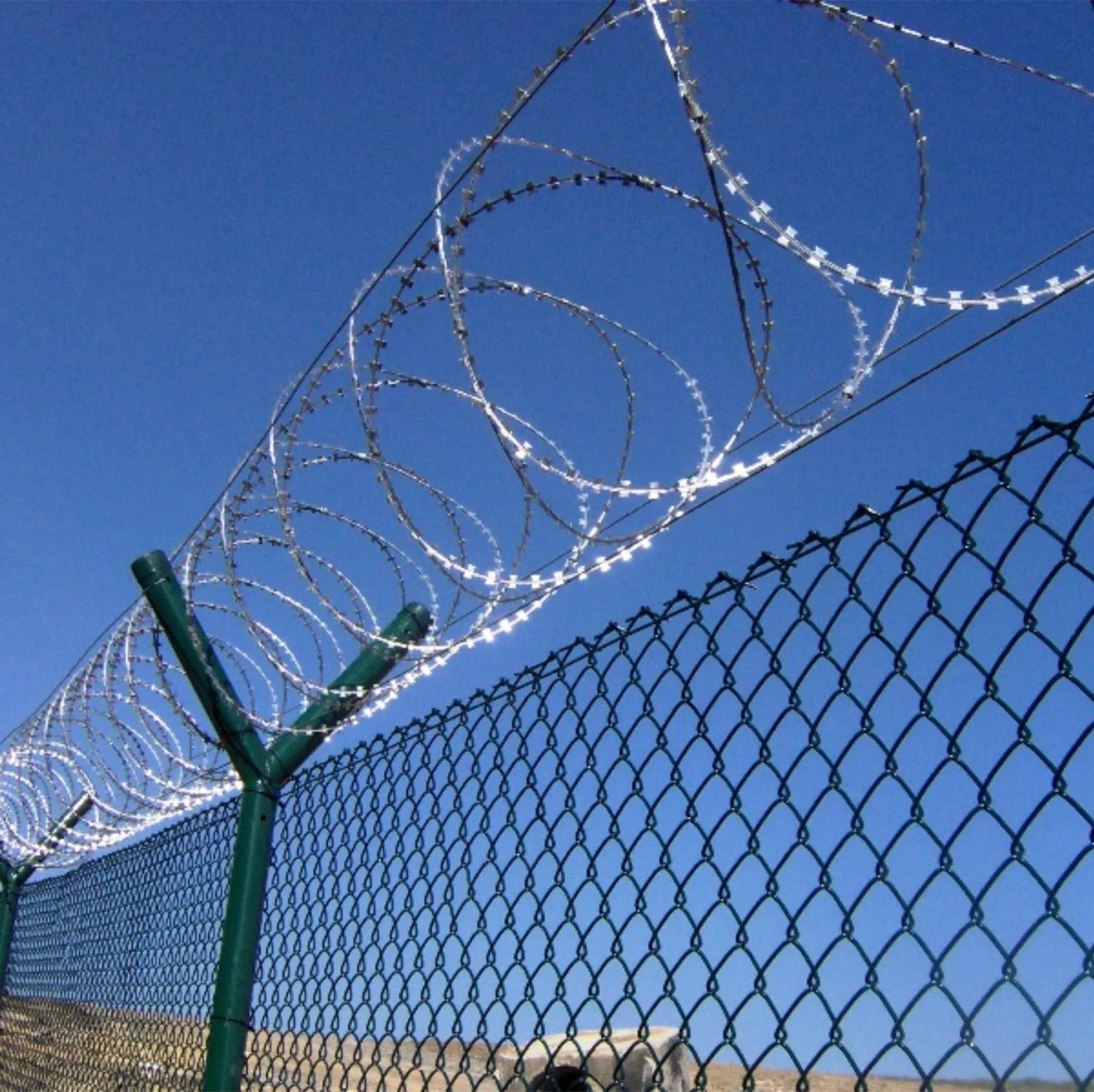 Bto22 Concertina Wire 450mm Coil Diameter For Sri Lanka Buy