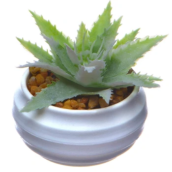 Emulate Succulent Plants Tropical Small Bonsai Home Emulate Succulent Plants Tropical Small Bonsai Home Decoration Plastic Emulation Plant