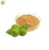 Free Sample Zero Calorie Health Food Organic Luo Han Guo Sweetener Monk fruit Extract
