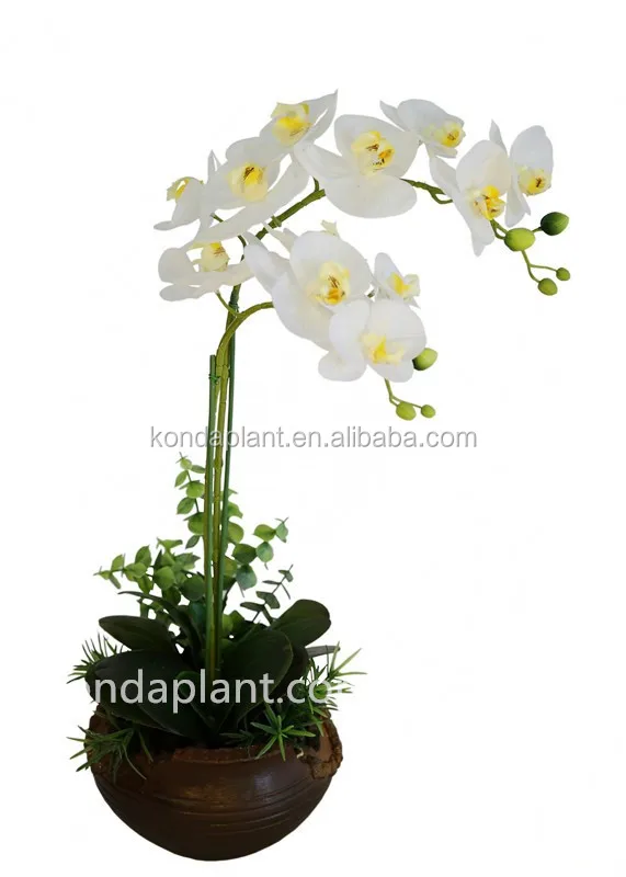 Eco Friendly Real Touch Artificial Latex Flowers Orchids Real Touch