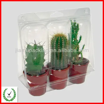 plant blister packaging