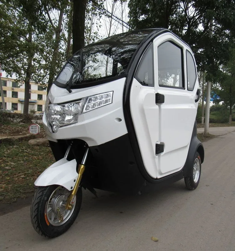Bri-s00 2 Seat Mobility Scooter Disabled Scooter Electric Car Enclosed