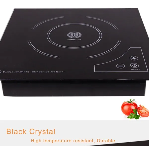 12v Battery Powered Kitchen Appliances Induction Cooktop With One