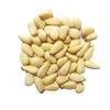 Chinese Supplier High Quality Pine Nut Kernels/pine nut kernels