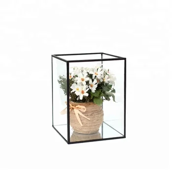 Low Cost Air Plant Cylinder Vase Gl Decoration Low Cost Air Plant Cylinder Vase Gl Decoration