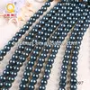 fashion jewelry 12-13mm blue round sea shell