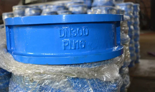 butterfly check valve on field1.jpg