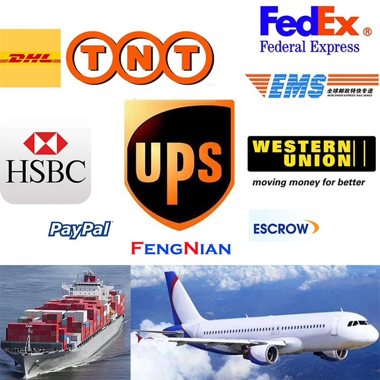 Shipping and Payment.jpg