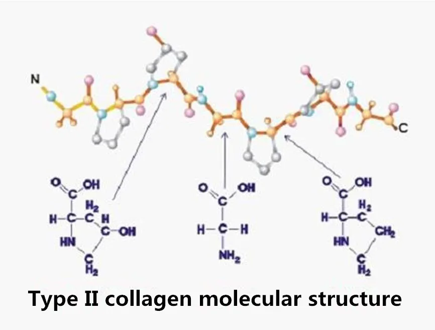 Type Ii Collagen / Oem - Buy Hydrolyzed Collagen Type Ii ... hyaluronic acid diagram 