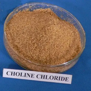 1458460_choline-chloride-67-48-1-.jpg