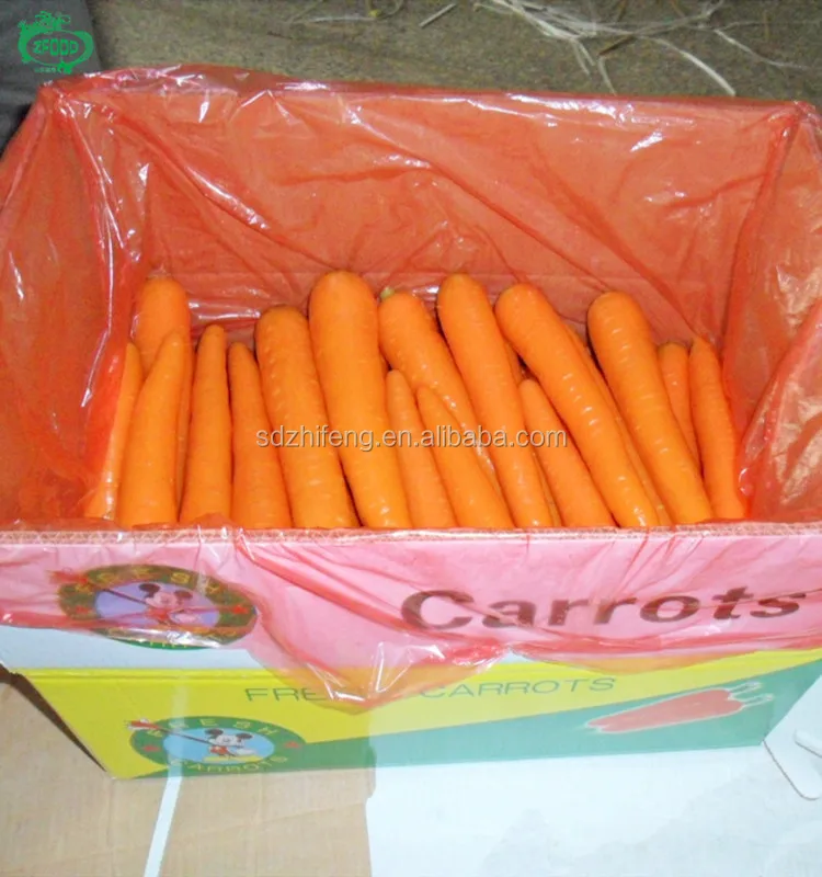 chinese fresh yellow carrot/organic carrot hot sale