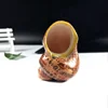 Cute Home Decoration Natural Sea Snail Craft Sea Beach Raw Sea shell