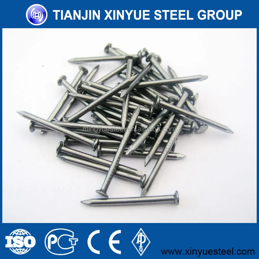 polished common iron nail price
